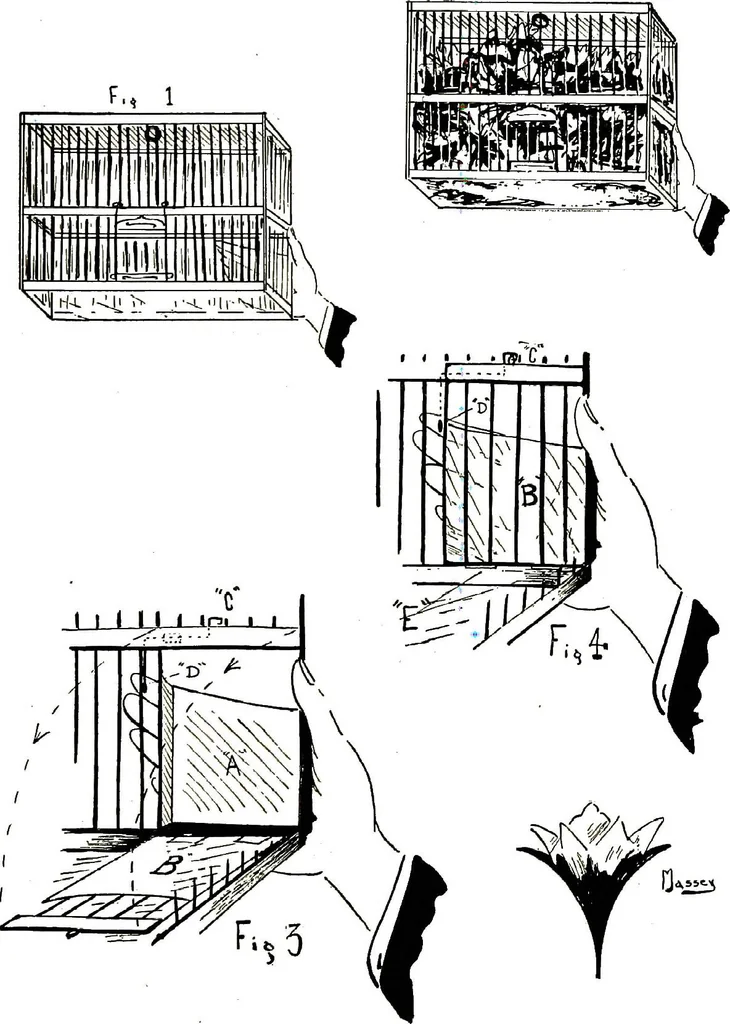 An illustration from New and original magic : comprising a number of novel and entertaining effects, a fund of information for the professional artist and his younger brother, the amateur, 1922, leaf 93
