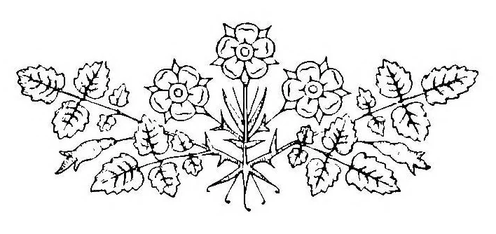 An illustration from A guide to old and new lace in Italy : exhibited at Chicago in 1893, 1893, leaf 19