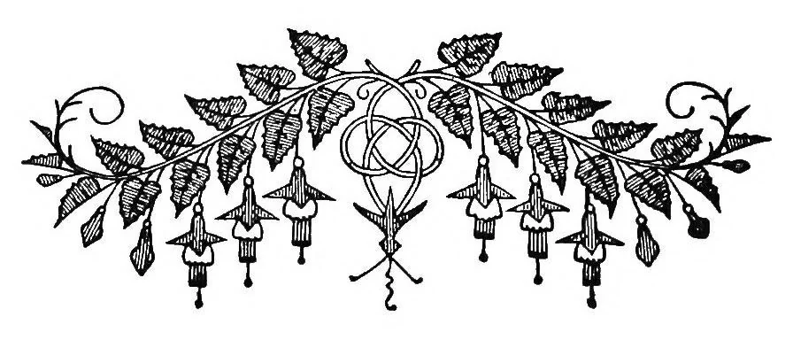 An illustration from A guide to old and new lace in Italy : exhibited at Chicago in 1893, 1893, leaf 228