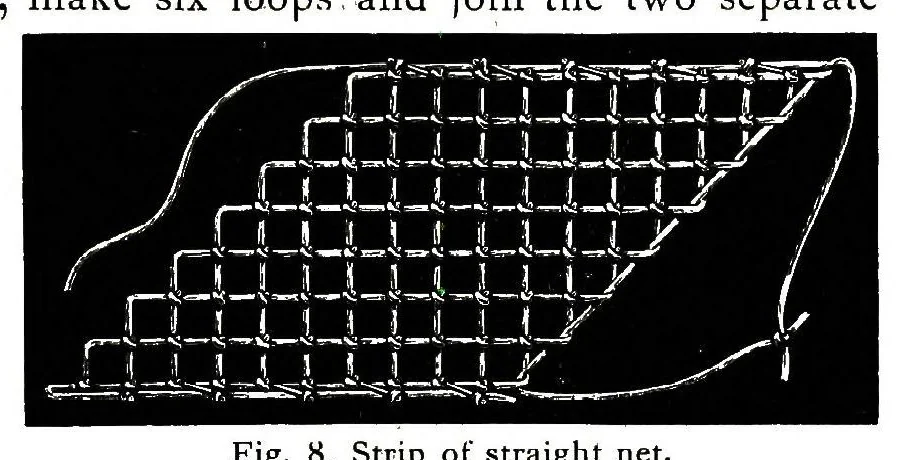An illustration from Embroidery on net, 1900, leaf 10