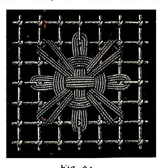 An illustration from Embroidery on net, 1900, leaf 17