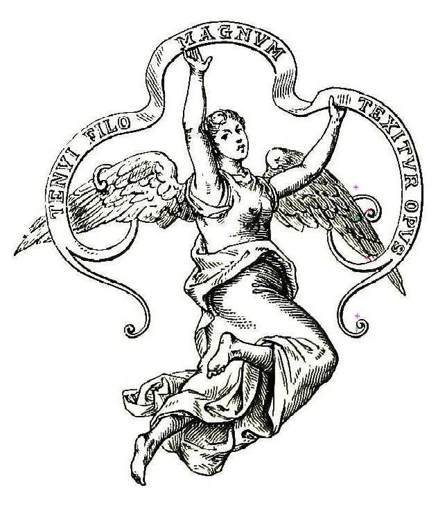 An illustration from Embroidery on net, 1900, leaf 2