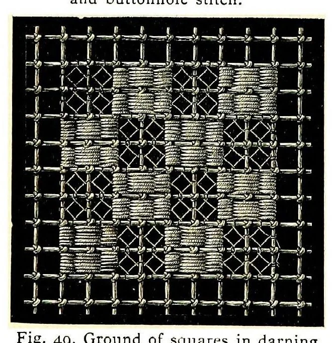 An illustration from Embroidery on net, 1900, leaf 25