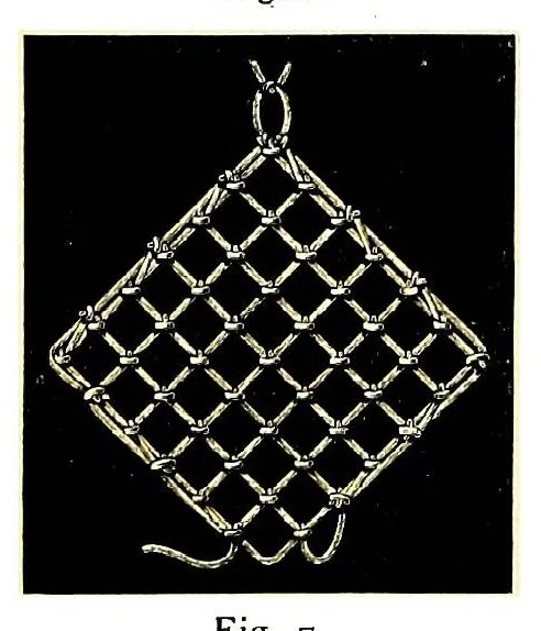 An illustration from Embroidery on net, 1900, leaf 9