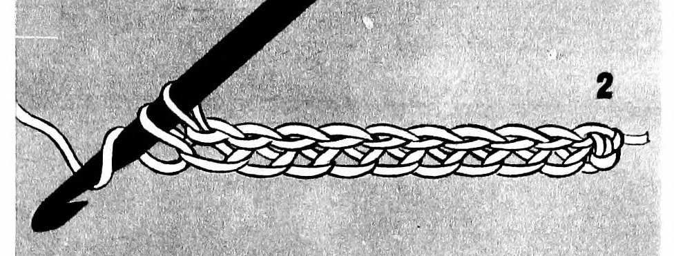 An illustration from Lace-making with crochet hook and knitting needles, 1900, leaf 10