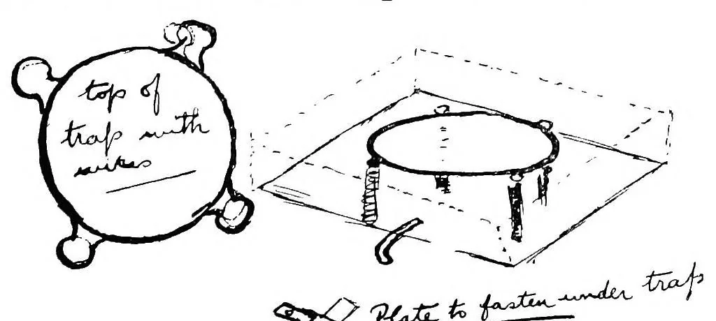An illustration from Practical conjuring, 1911, leaf 22