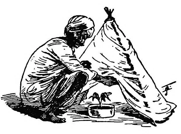 An illustration from Hindu magic : an expose of the tricks of the yogis and fakirs of India, 1913, leaf 9