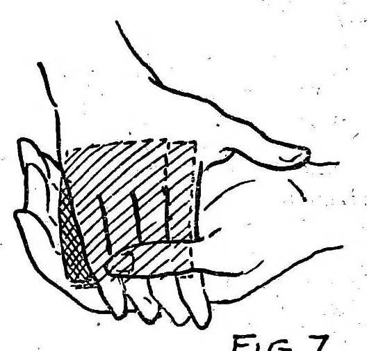 An illustration from The triple climax, 1921, leaf 7