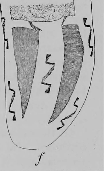 An illustration from The Arapaho, 1902, leaf 46