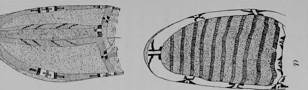 An illustration from The Arapaho, 1902, leaf 46