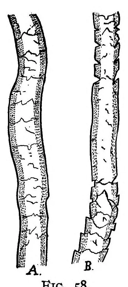 An illustration from Textile calculations : a complete guide to all calculations relating to the construction of all kinds of yarns and fabrics, the analysis of cloth, etc., 1912, leaf 94
