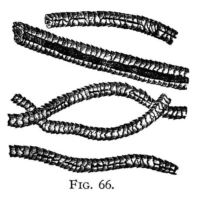 An illustration from Textile calculations : a complete guide to all calculations relating to the construction of all kinds of yarns and fabrics, the analysis of cloth, etc., 1912, leaf 96
