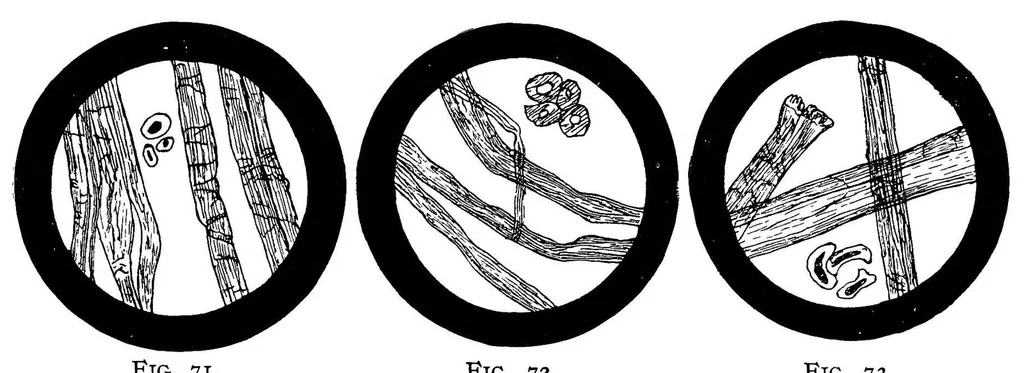An illustration from Textile calculations : a complete guide to all calculations relating to the construction of all kinds of yarns and fabrics, the analysis of cloth, etc., 1912, leaf 98
