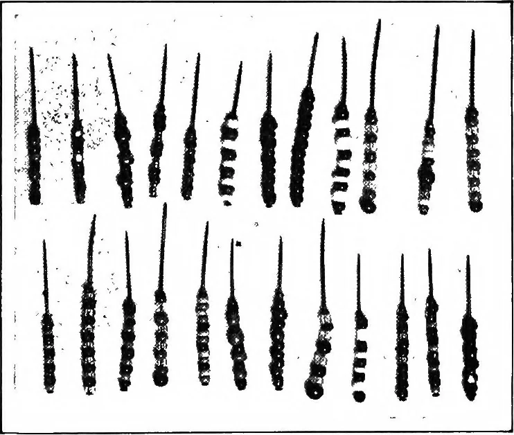 An illustration from Lace and lace making, 1917, leaf 7