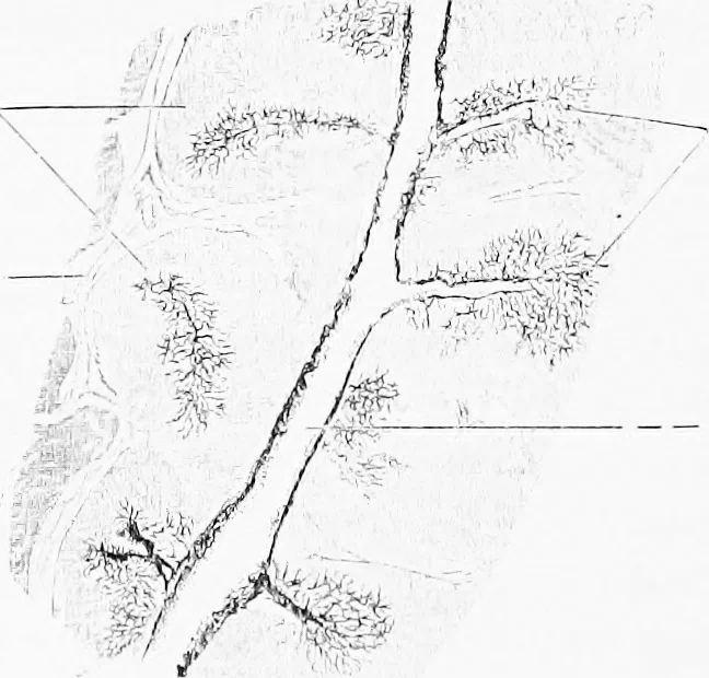 An illustration from Stöhr's histology, arranged upon an embryological basis, 1906, leaf 239