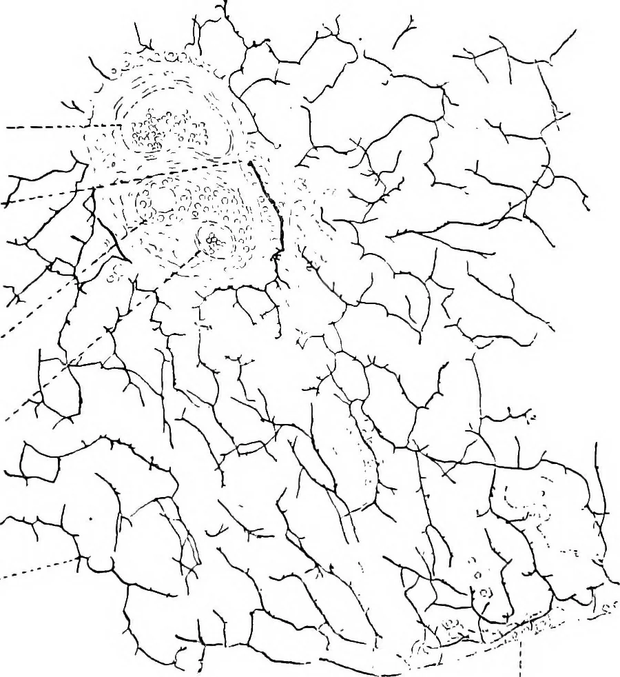 An illustration from Stöhr's histology, arranged upon an embryological basis, 1906, leaf 243
