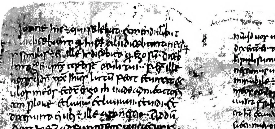 An illustration from Early Irish minuscule script, 1910, leaf 106