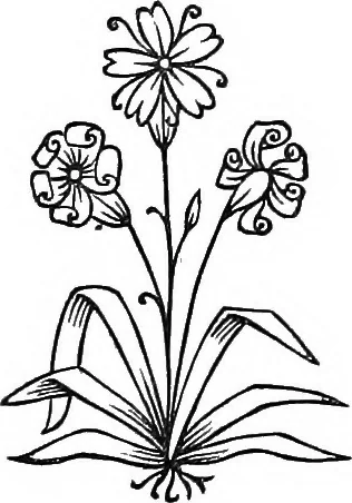 An illustration from The secret societies of all ages and countries, 1875, leaf 174