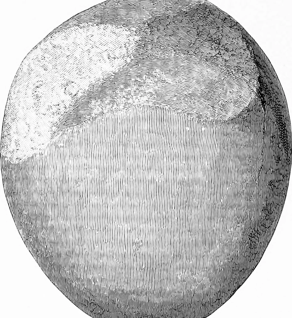 An illustration from Archæological and historical collections relating to Ayrshire & Galloway, 1878, leaf 147