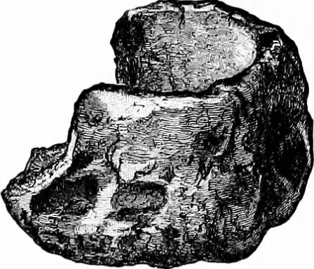 An illustration from Archæological and historical collections relating to Ayrshire & Galloway, 1878, leaf 161