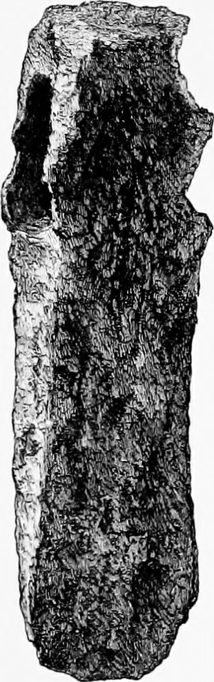An illustration from Archæological and historical collections relating to Ayrshire & Galloway, 1878, leaf 162