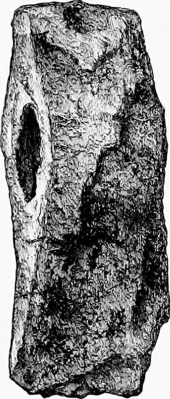 An illustration from Archæological and historical collections relating to Ayrshire & Galloway, 1878, leaf 162