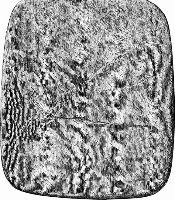 An illustration from Archæological and historical collections relating to Ayrshire & Galloway, 1878, leaf 167