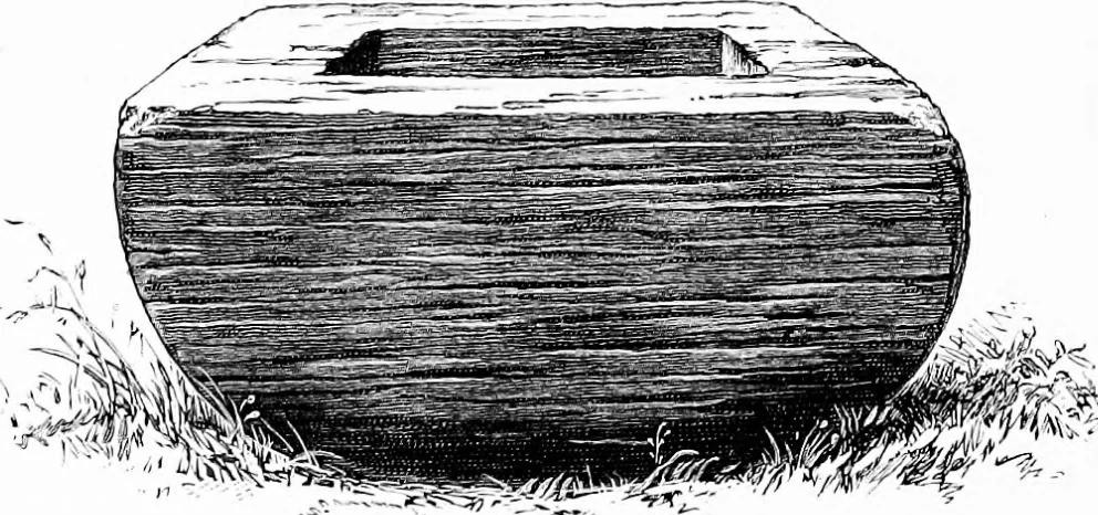 An illustration from Archæological and historical collections relating to Ayrshire & Galloway, 1878, leaf 169