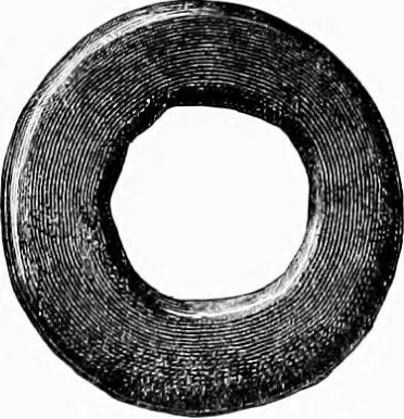 An illustration from Archæological and historical collections relating to Ayrshire & Galloway, 1878, leaf 178