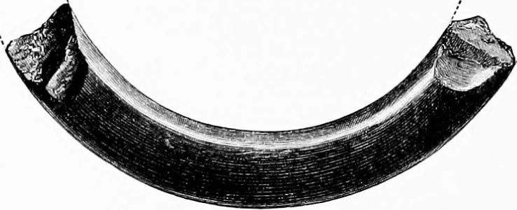 An illustration from Archæological and historical collections relating to Ayrshire & Galloway, 1878, leaf 187