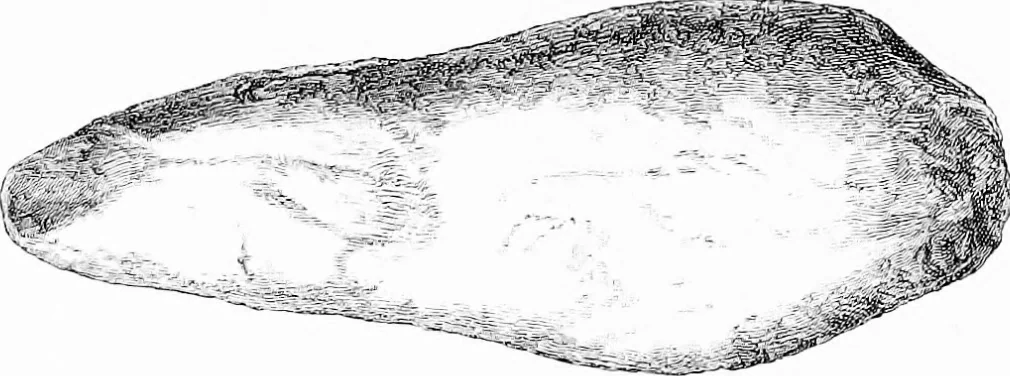 An illustration from Archæological and historical collections relating to Ayrshire & Galloway, 1878, leaf 77