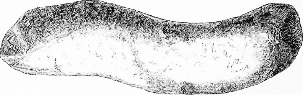 An illustration from Archæological and historical collections relating to Ayrshire & Galloway, 1878, leaf 77