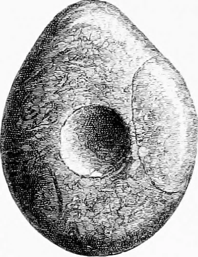 An illustration from Archæological and historical collections relating to Ayrshire & Galloway, 1878, leaf 82