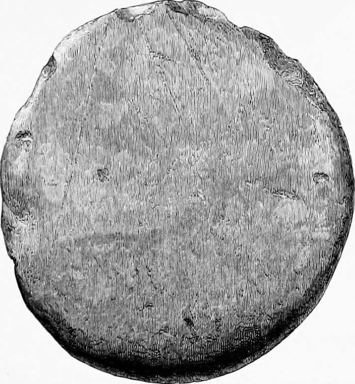An illustration from Archæological and historical collections relating to Ayrshire & Galloway, 1878, leaf 86