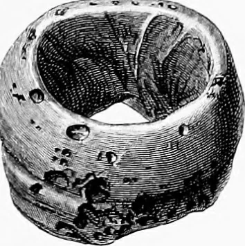 An illustration from Archæological and historical collections relating to Ayrshire & Galloway, 1878, leaf 86