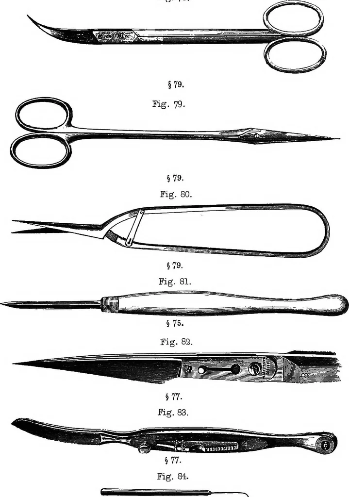 An illustration from How to work with the microscope, 1865, leaf 116