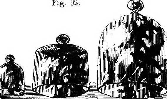 An illustration from How to work with the microscope, 1865, leaf 120