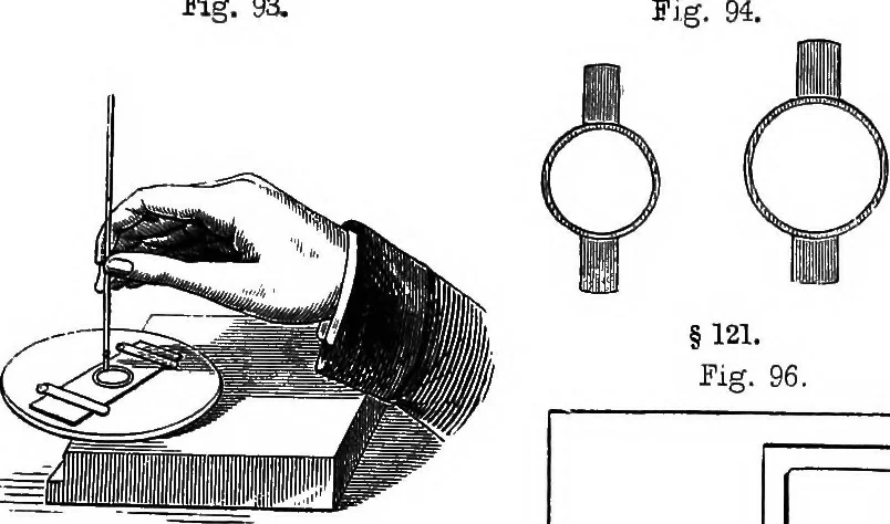 An illustration from How to work with the microscope, 1865, leaf 136