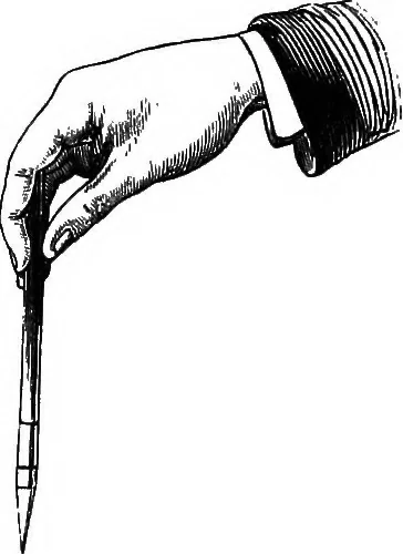 An illustration from How to work with the microscope, 1865, leaf 136