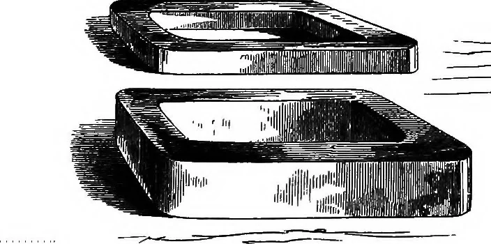 An illustration from How to work with the microscope, 1865, leaf 142
