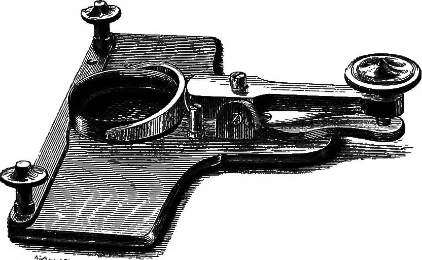 An illustration from How to work with the microscope, 1865, leaf 168