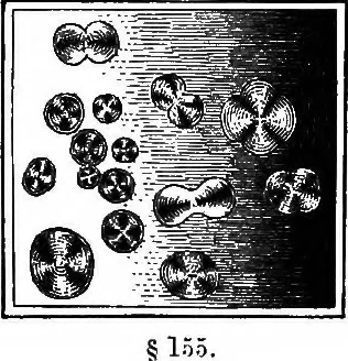 An illustration from How to work with the microscope, 1865, leaf 174