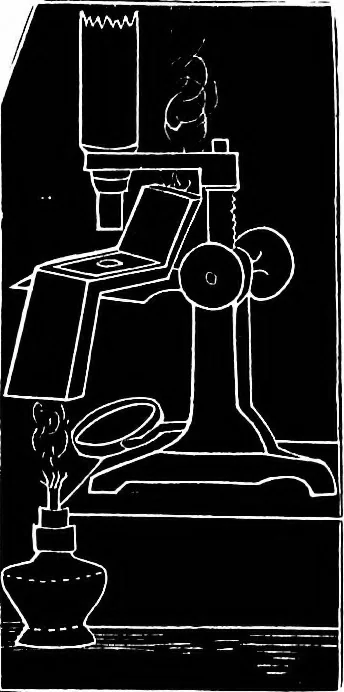 An illustration from How to work with the microscope, 1865, leaf 192