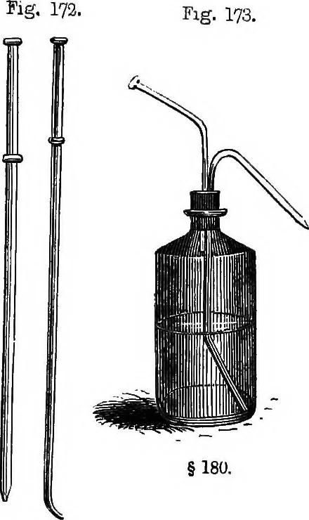 An illustration from How to work with the microscope, 1865, leaf 202