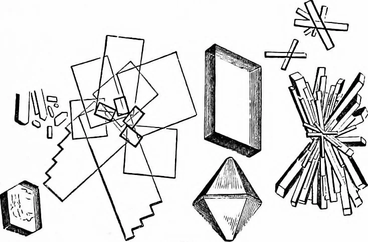 An illustration from How to work with the microscope, 1865, leaf 248