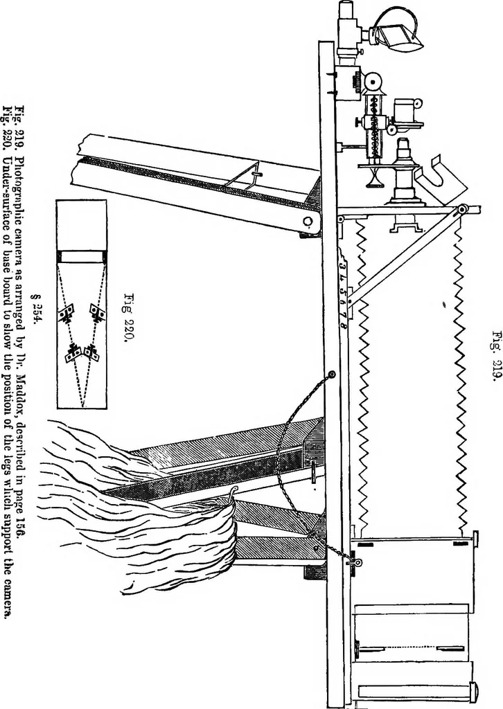 An illustration from How to work with the microscope, 1865, leaf 276