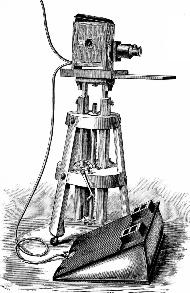 An illustration from How to work with the microscope, 1865, leaf 310