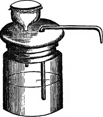 An illustration from How to work with the microscope, 1865, leaf 337