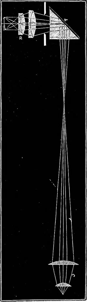 An illustration from How to work with the microscope, 1865, leaf 48