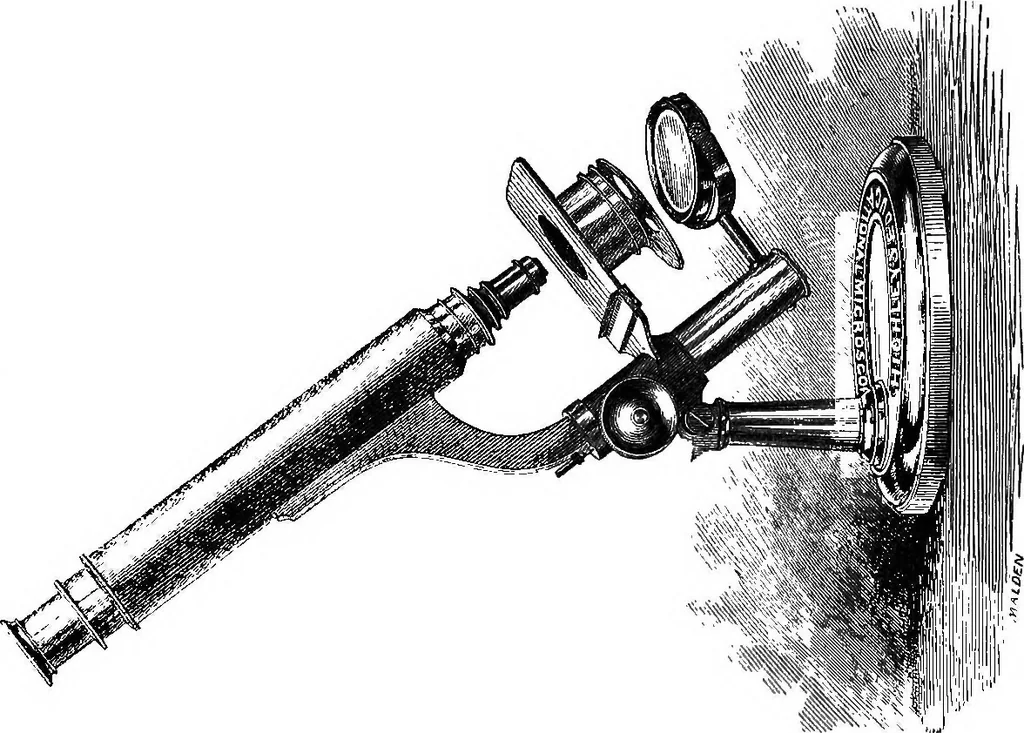 An illustration from How to work with the microscope, 1865, leaf 50